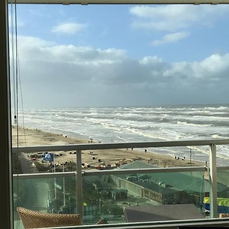 Dreamview Apartment Zandvoort Eksteriør bilde